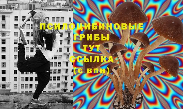 прущая мука Бородино